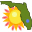 Florida Icon