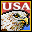 USA Icon